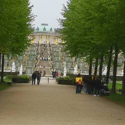 Die Allee zum Schloss Sanssouci