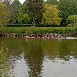 L'aviron semble être une activité très développée à Château Gontier