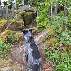 Frodos erste Kletterpartie!