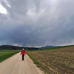 Wir haben den Wettlauf gegen den Regen gewonnen!