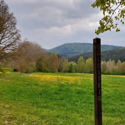 Blick zurück zur Schwarzenburg!