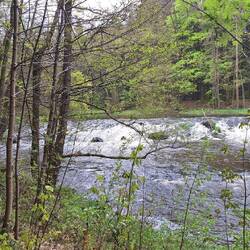 Stromschnelle der "Schwarzenach"!
