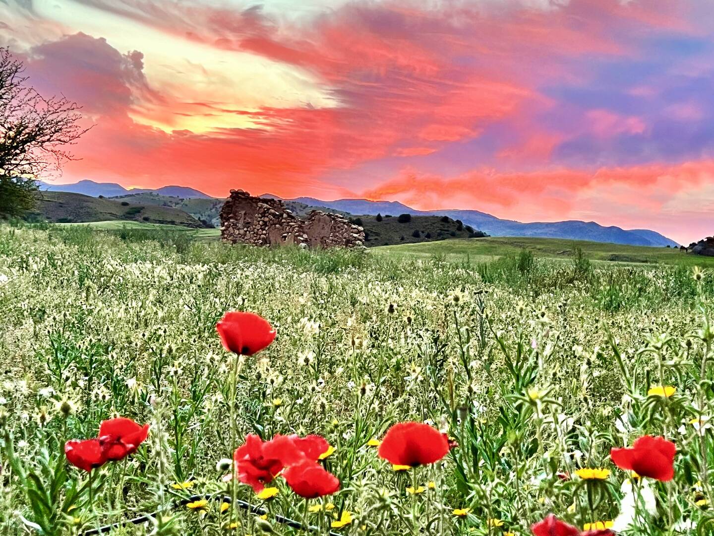 Der Himmel glüht