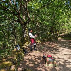 HOLA PAPI play that bag, honk