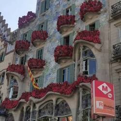 Casa Battlo war schon einen Tag vorher geschmückt.