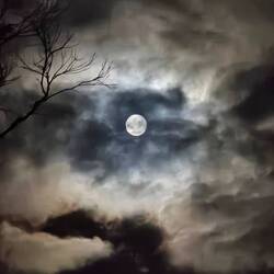 Full Moon