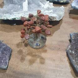 Abends in der Stadt: Grüße an alle Edelsteinbaumliebhaber! Gibt's wohl nicht nur in Rumänien 😅