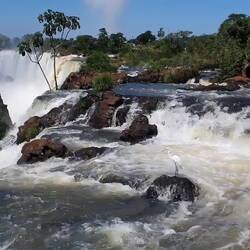 Der Reiher steht da anscheinend immer mittags 😀