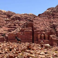 Un altro amico e sullo sfondo tombe e palazzi