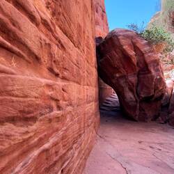 Mille sfumature sulla roccia