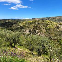 ..in ihrer Vegetation.