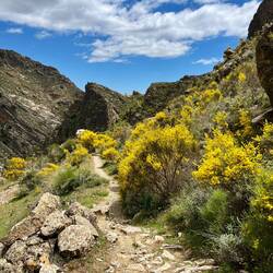 ..und darüber hinaus überaus abwechslungsreich..
