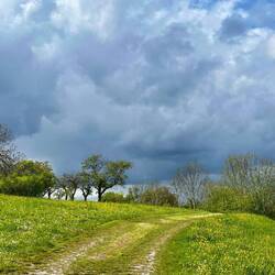 Oh, was kommt denn da schon wieder