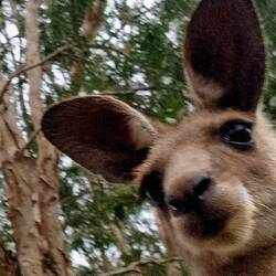 Hellooooooooooo 😍