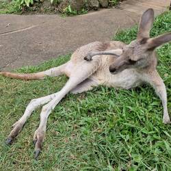 sieht sehr elegant und entspannt aus...