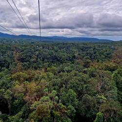 Regenwald, soweit das Auge reicht..