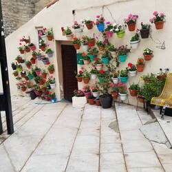 These people like flowers!