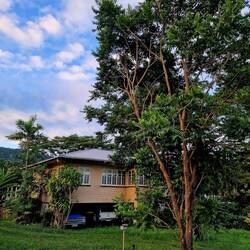 praktische Queenslandhäuser, gedeckte Garsge..