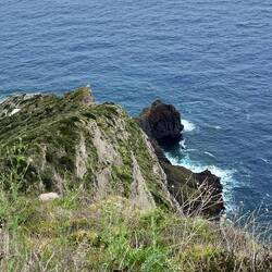 das sieht doch aus wie eine Schildkröte