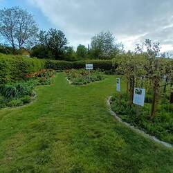 Angelegte Blumen für den Klimawandel