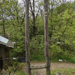 Ausgang vom Beweidungsgebiet Rödel