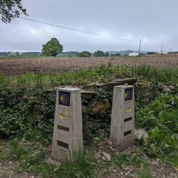 One of many complementary detours I took today