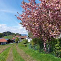 Gott sei Dank, wir hatten uns leicht verlaufen!