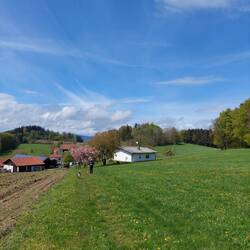 Abstieg nach Englmannsbrunn!