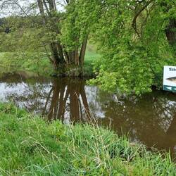 Nur für Schwarz(ach) Fischer?