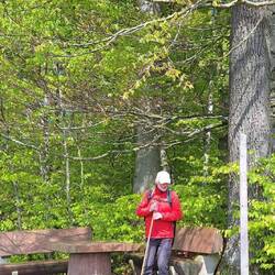 Goldsteig Pfosten im Überfluss!