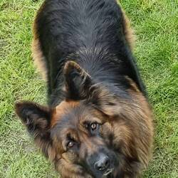 "Nehmt ihr mich mit?"