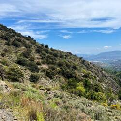 Zurück in der Prärie treffe..