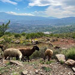 ..ich auf diese gut gekleideten Kollegen.
