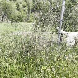Zuvor geht es aber noch mit viel Bauchweh an diesem Riesen vorbei.
