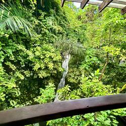 direkt an einem Wasserfall