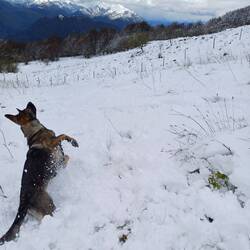 Spaß im Schnee
