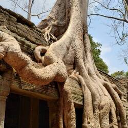 Und haben passend dazu abends dann noch Tomb Raider geschaut 🙈