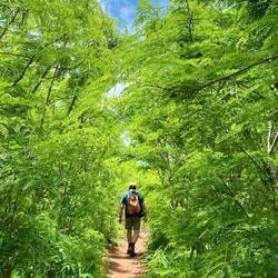 ... immer noch die gleiche Wanderung.