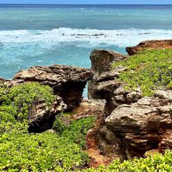 Wer sieht den Echsenkopf