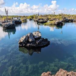 Mittagspause bei Los Túneles