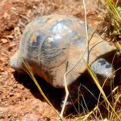 Kam einfach so mal vorbei