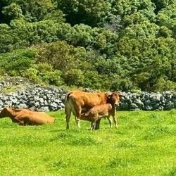 Miradouro Raul Brandão