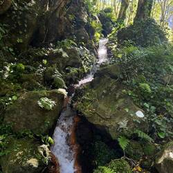 Auf dem Weg zum Cascata da Ribeira do Ferreiro
