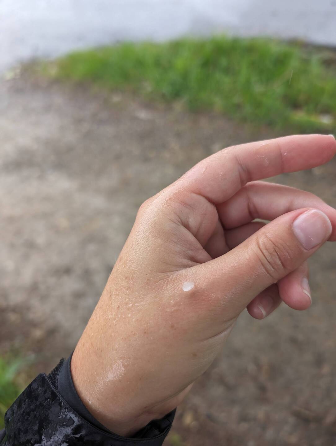 Two hailstorms spiced up the rain nicely
