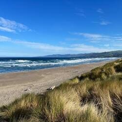 Bodega Dunes Beach