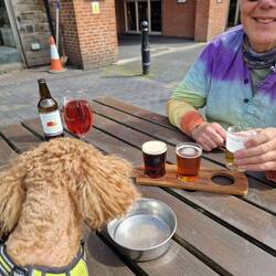 A flight of thirds- perfect for the indecisive