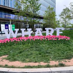 Another unrecognizable neighbourhood