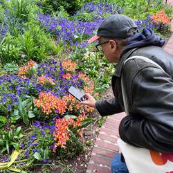 Master Photographer at Work