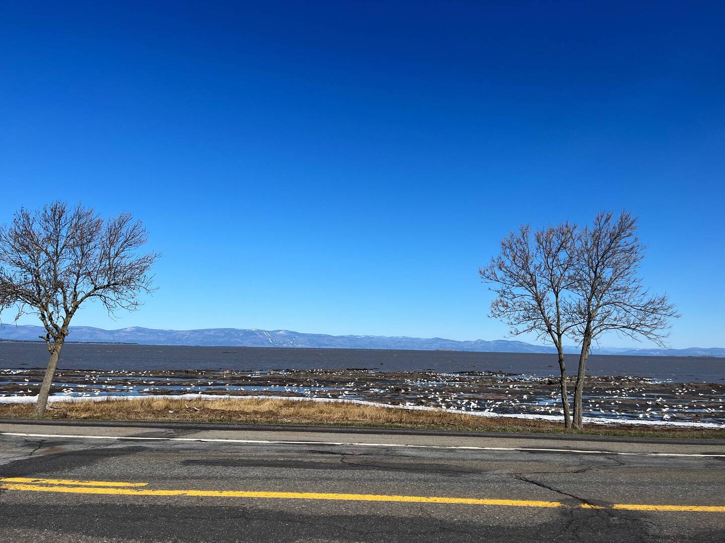 St Lawrence Seaway from the road with Larentian Mountains in the background