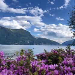 Lugano ist auch Stadt der Parks und Blüten